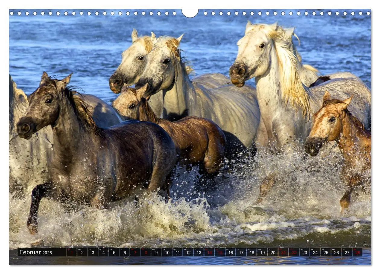 Bild: 9783457546178 | Pferde - wild und ungezähmt (Wandkalender 2026 DIN A3 quer),...
