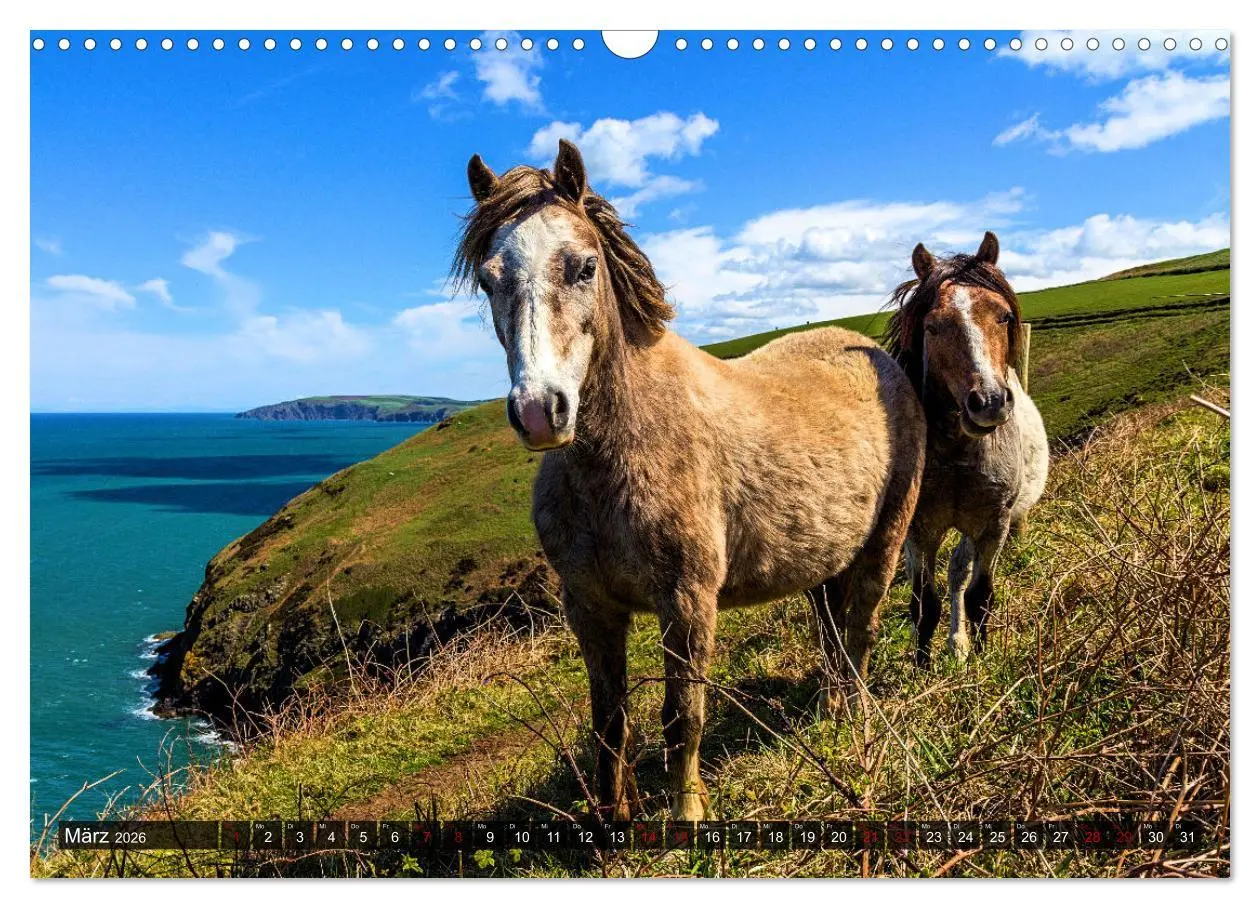 Bild: 9783457546178 | Pferde - wild und ungezähmt (Wandkalender 2026 DIN A3 quer),...