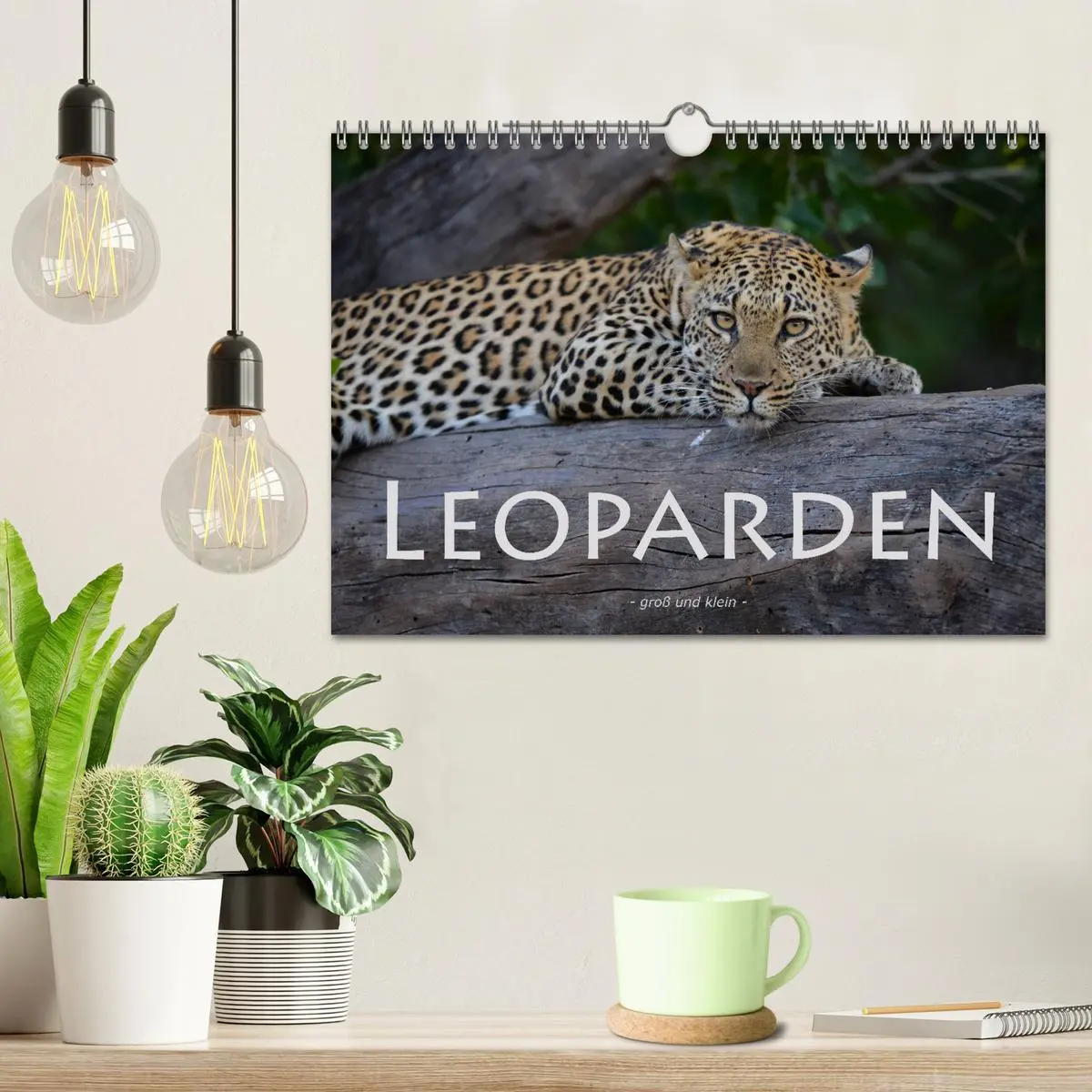 Bild: 9783457856178 | Leoparden - groß und klein (Wandkalender 2026 DIN A4 quer),...