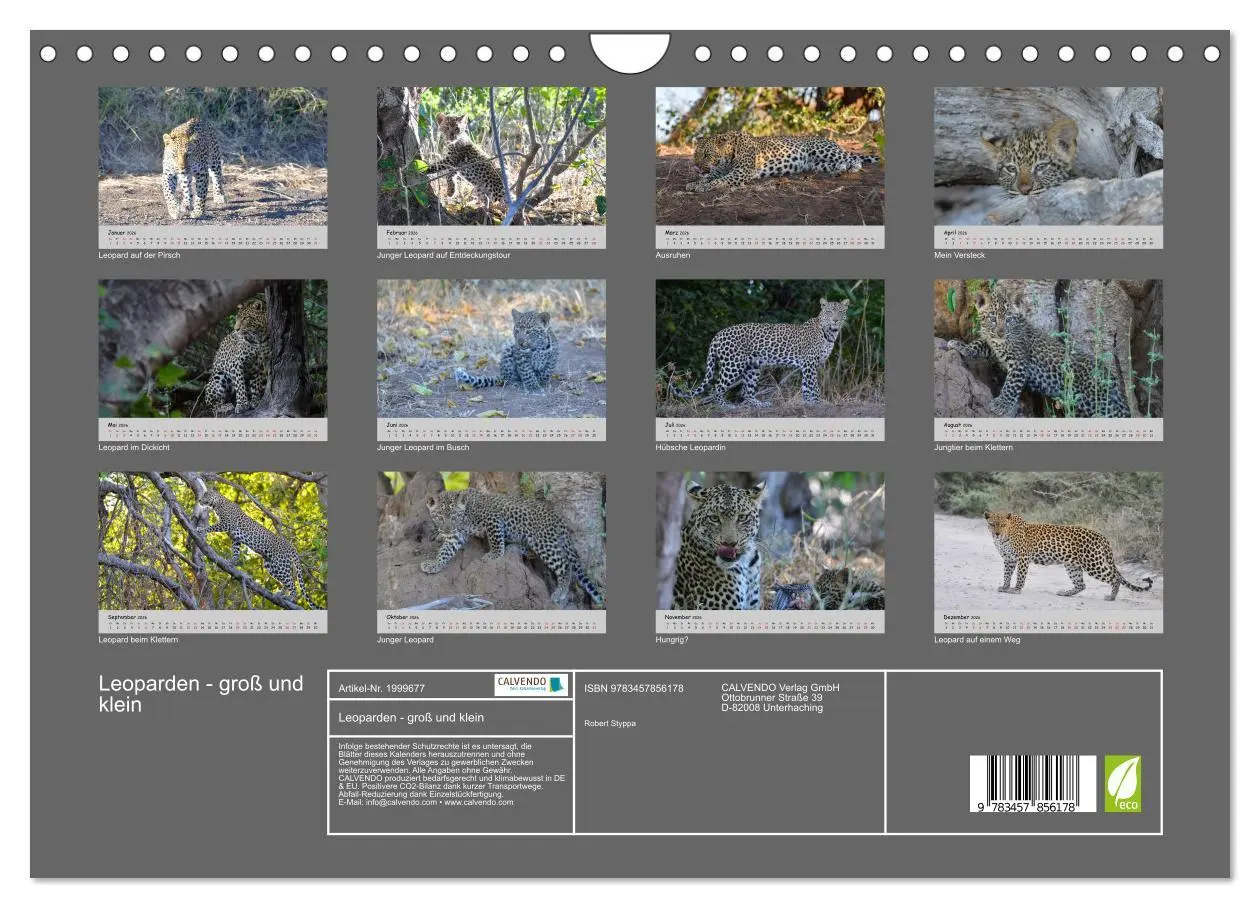 Bild: 9783457856178 | Leoparden - groß und klein (Wandkalender 2026 DIN A4 quer),...