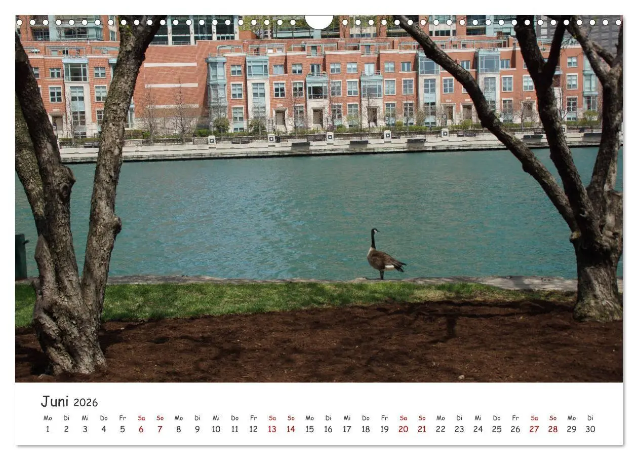Bild: 9783457926178 | beeindruckendes Chicago (Wandkalender 2026 DIN A3 quer), CALVENDO...