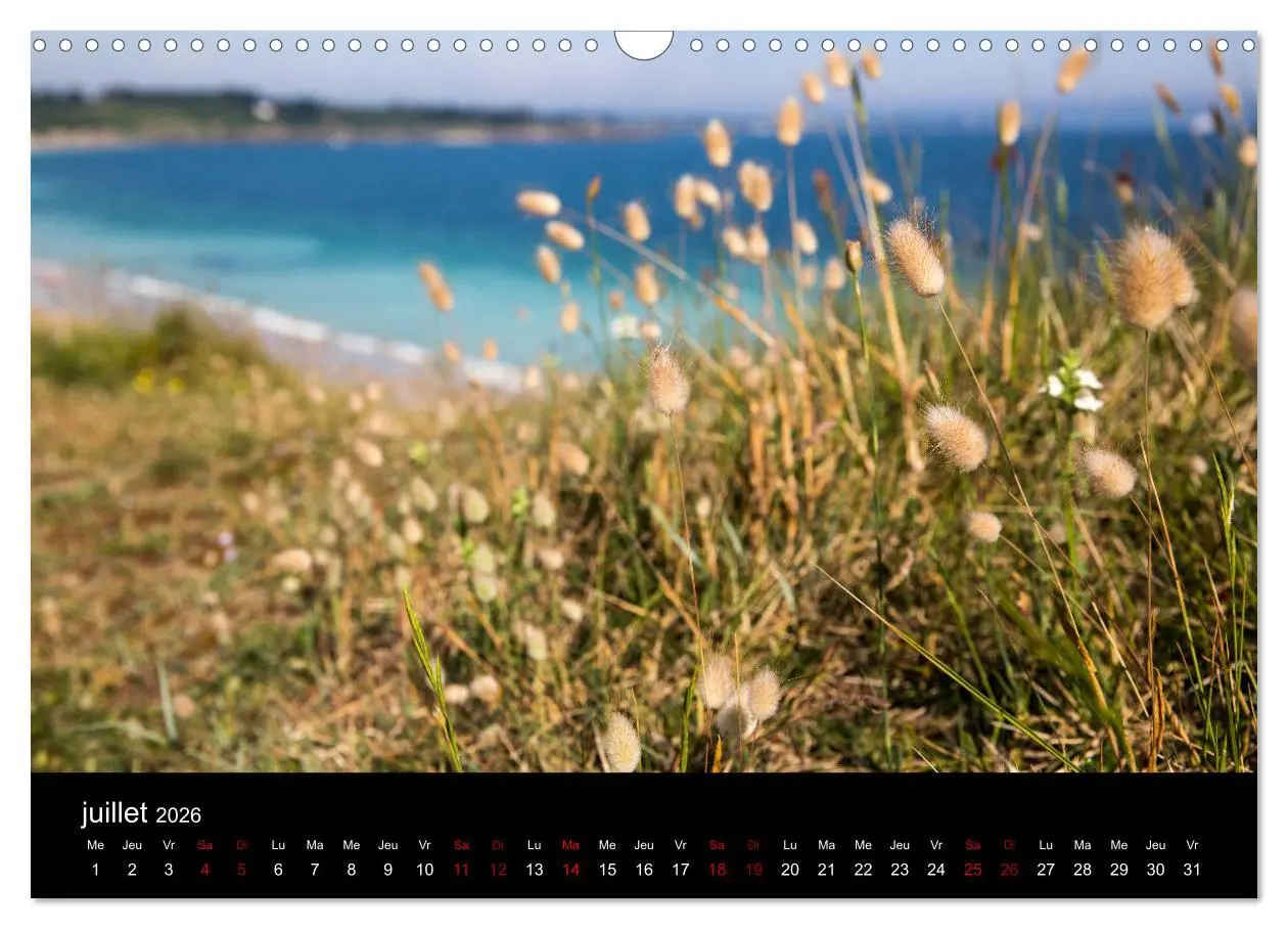 Bild: 9783516566178 | Belle-Île, la belle (Calendrier mural 2026 DIN A3 vertical),...