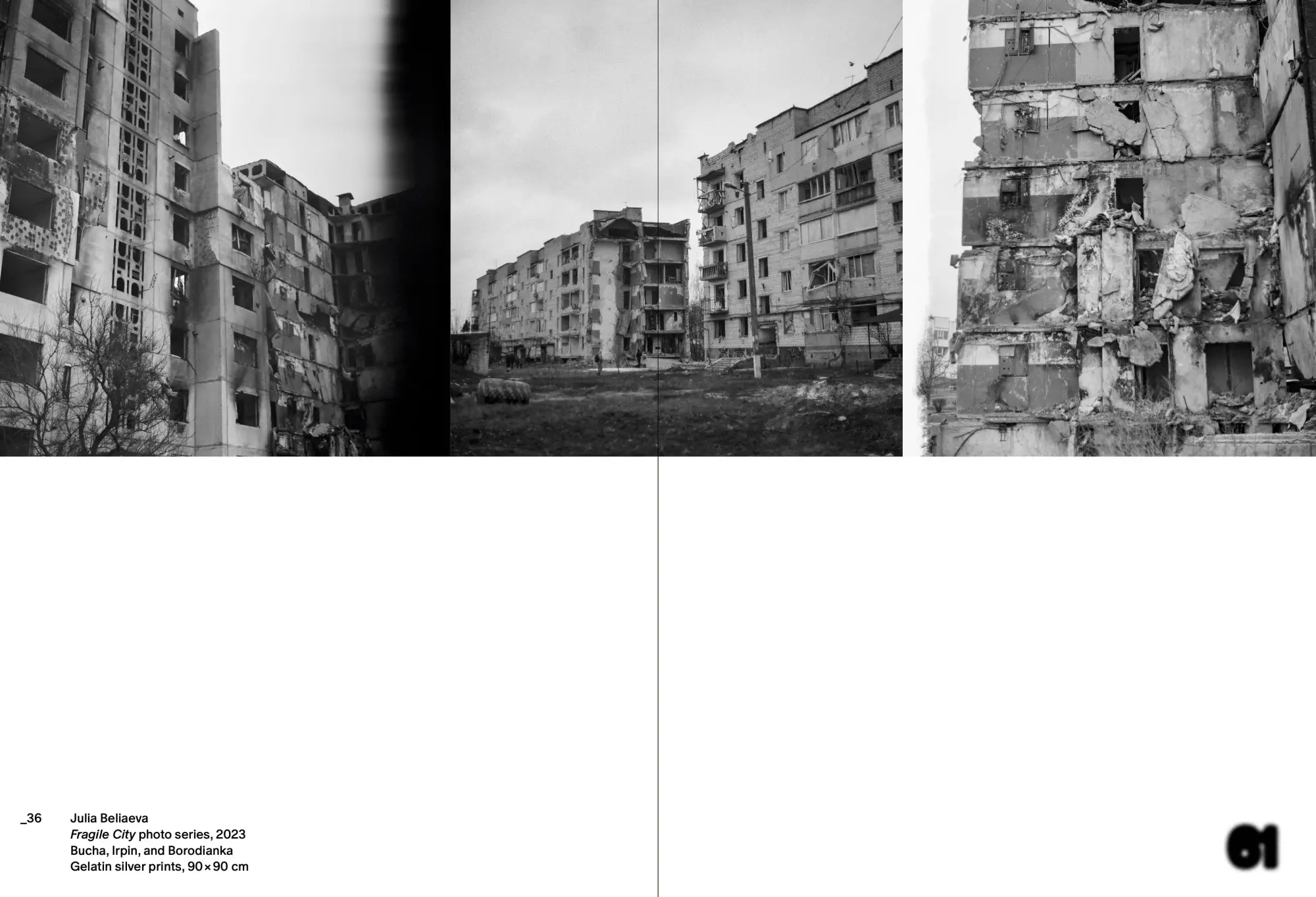 Bild: 9783954766178 | Fragile City | Julia Beliaeva | Julia Beliaeva | Buch | 88 S. | 2025