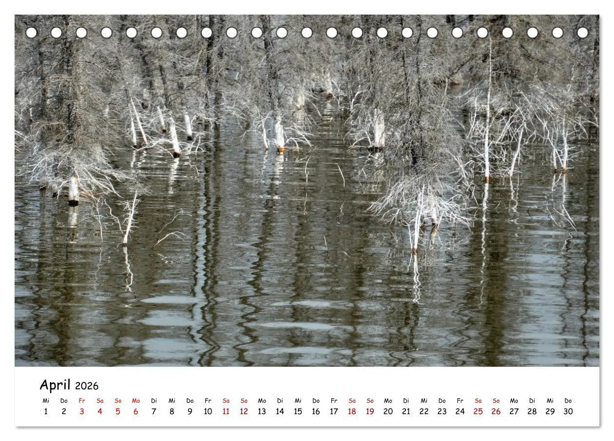 Bild: 9783457906378 | Unendlichkeit in Alaska und Yukon (Tischkalender 2026 DIN A5 quer),...