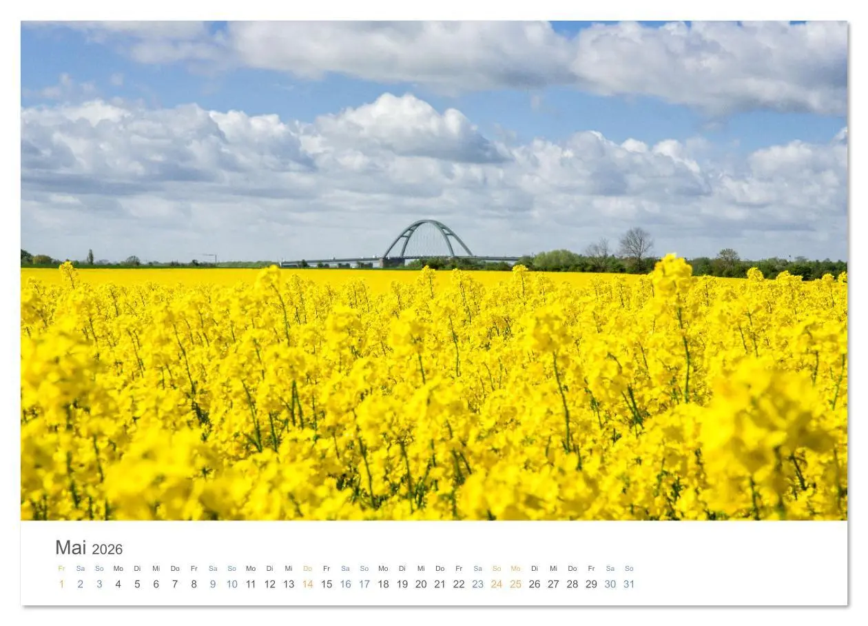 Bild: 9783516616378 | Die Sonneninsel Fehmarn (Wandkalender 2026 DIN A4 quer), CALVENDO...