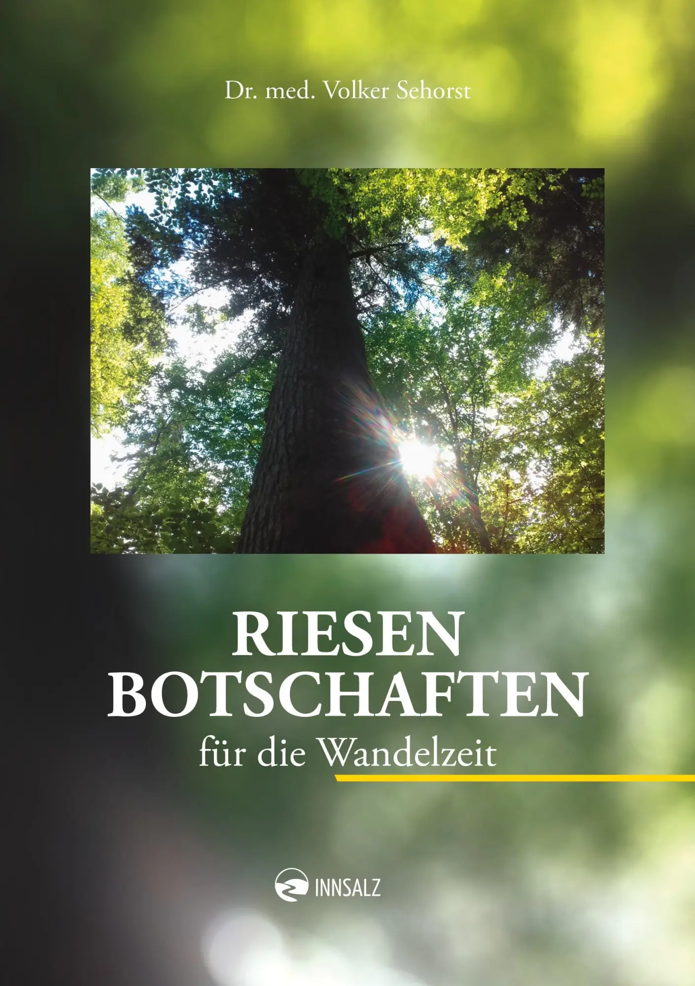 Cover: 9783903496378 | Riesen | Botschaften für die Wandelzeit | Volker Sehorst | Taschenbuch
