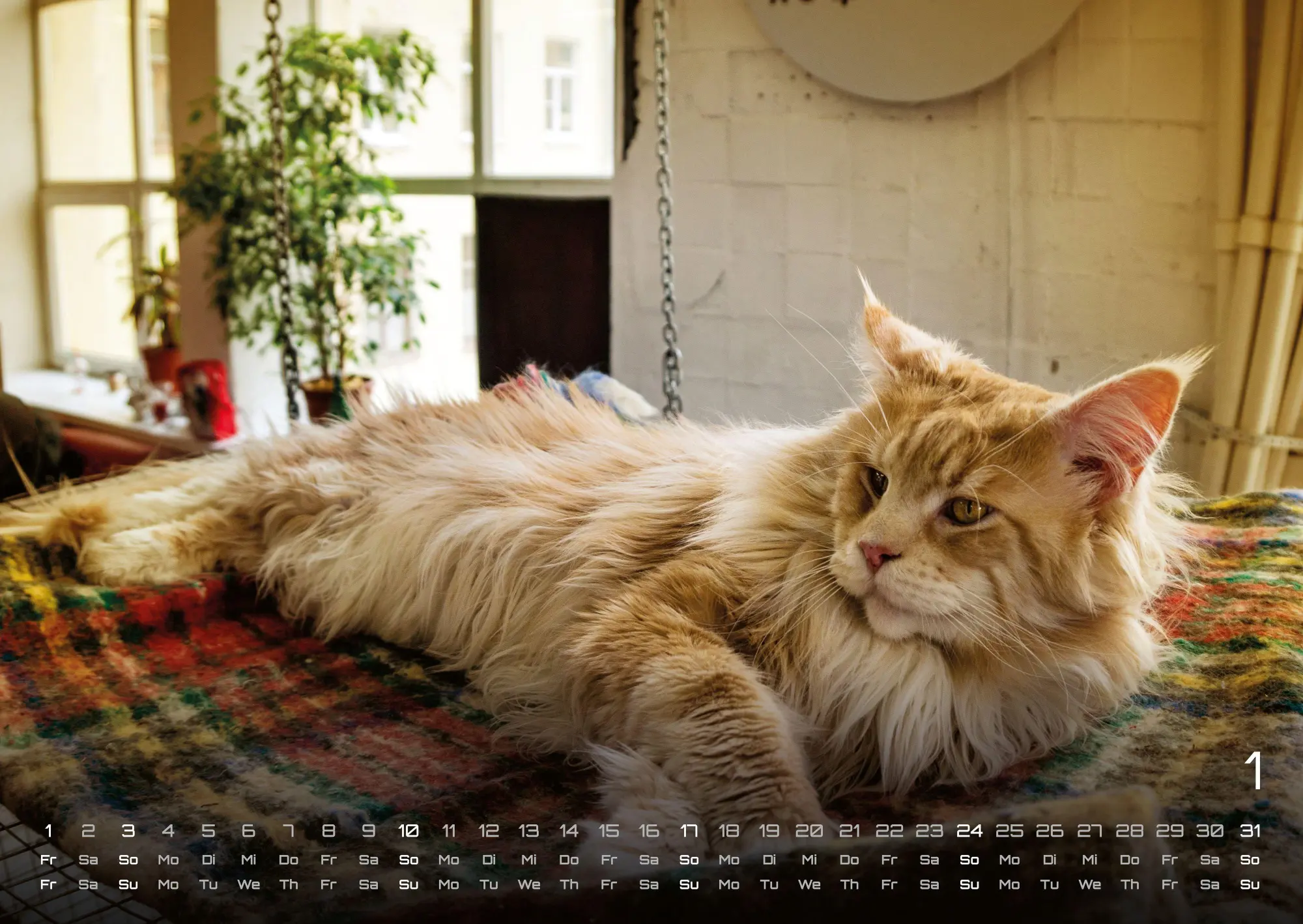 Bild: 9783986736378 | Miau - Unsere Stubentiger - Der Katzenkalender - 2027 - Kalender...