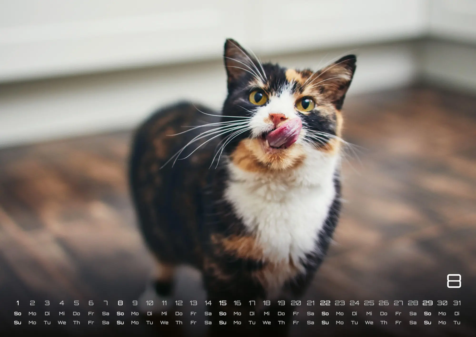 Bild: 9783986736378 | Miau - Unsere Stubentiger - Der Katzenkalender - 2027 - Kalender...