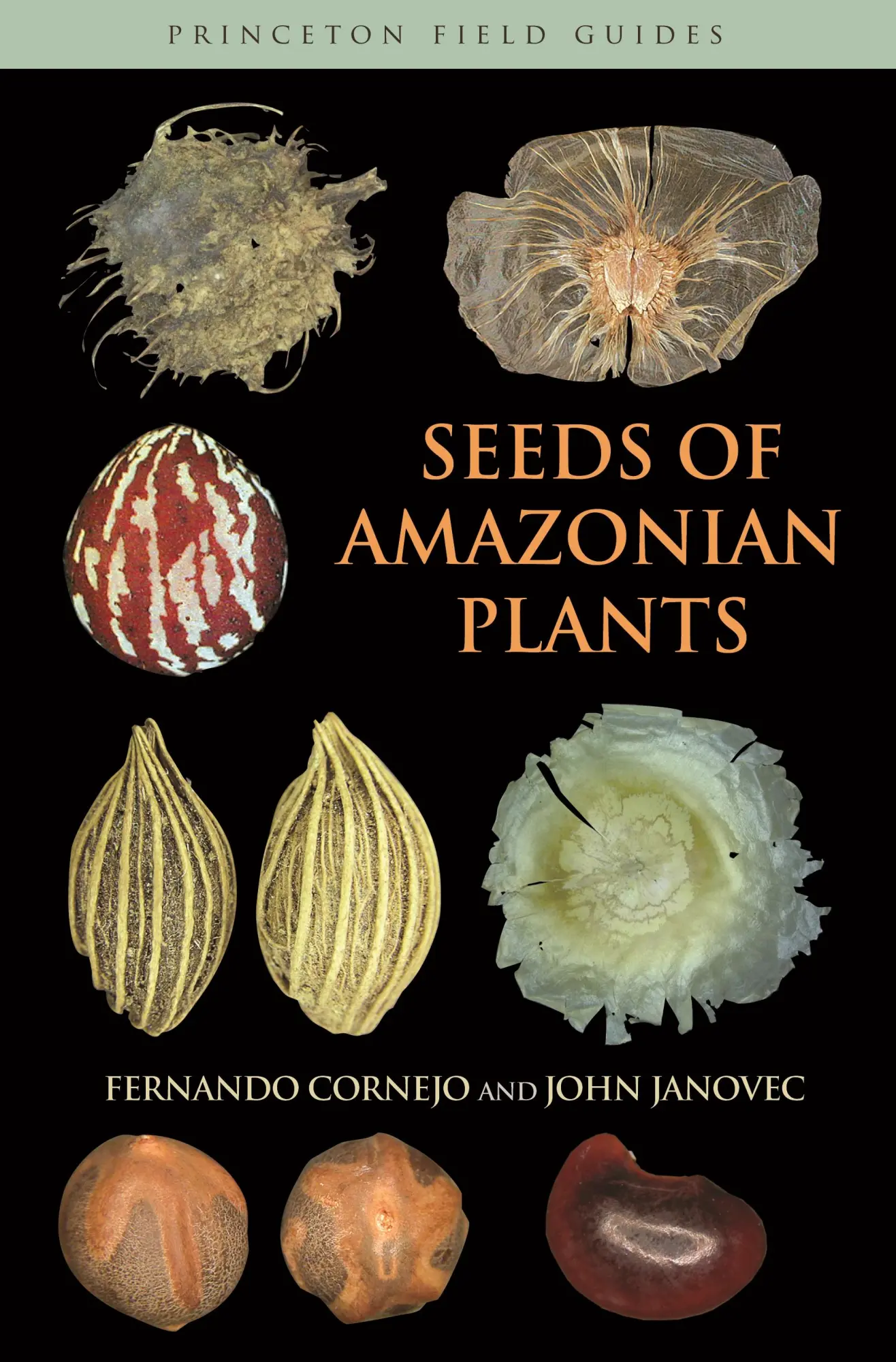Cover: 9780691146478 | Seeds of Amazonian Plants | Fernando Cornejo (u. a.) | Taschenbuch