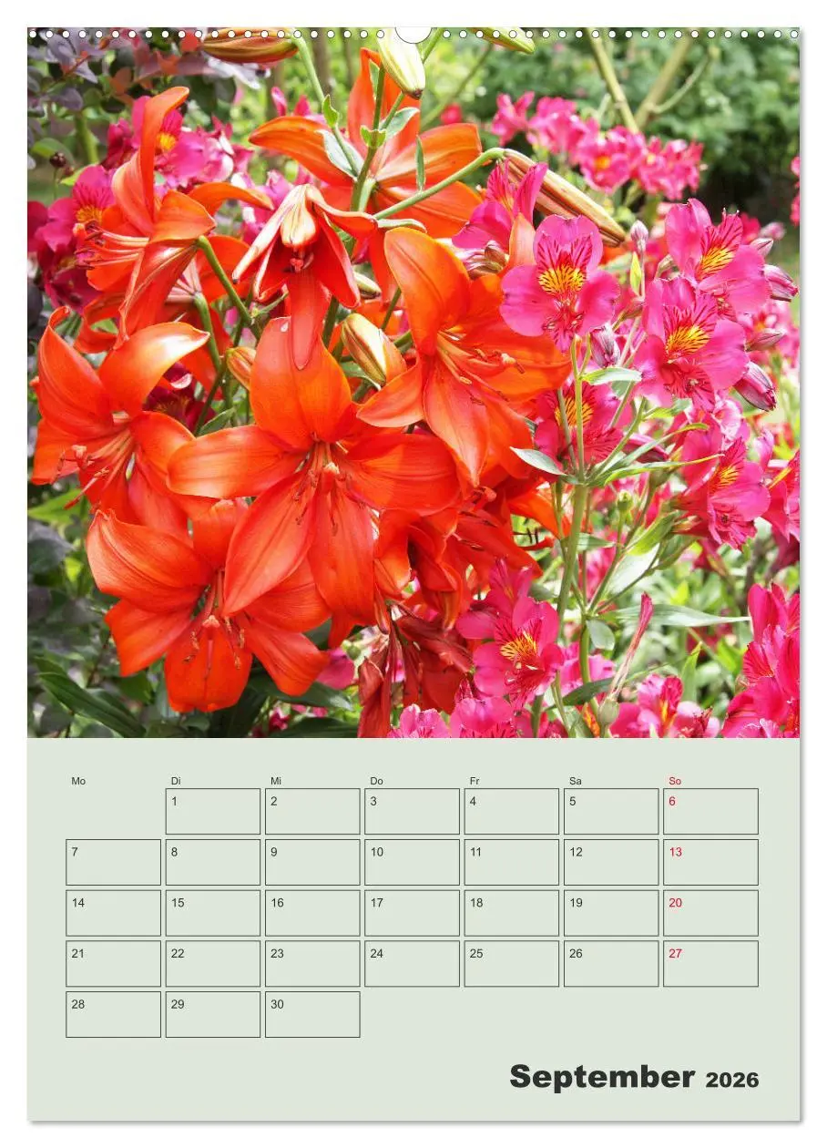 Bild: 9783516396478 | Lilien im Garten (hochwertiger Premium Wandkalender 2026 DIN A2...