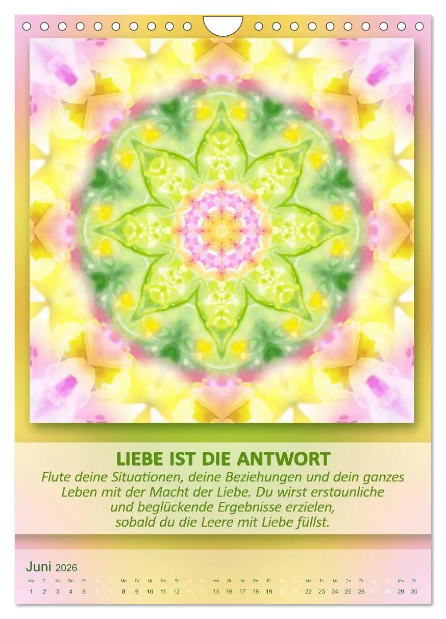 Bild: 9783516466478 | Light Energy Mandalas - Kalender - Vol. 2 (Wandkalender 2026 DIN A4...