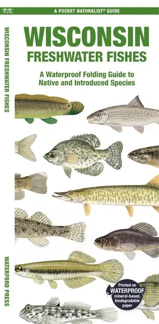 Cover: 9781620056578 | Wisconsin Freshwater Fishes | Matthew Morris | Broschüre | Englisch