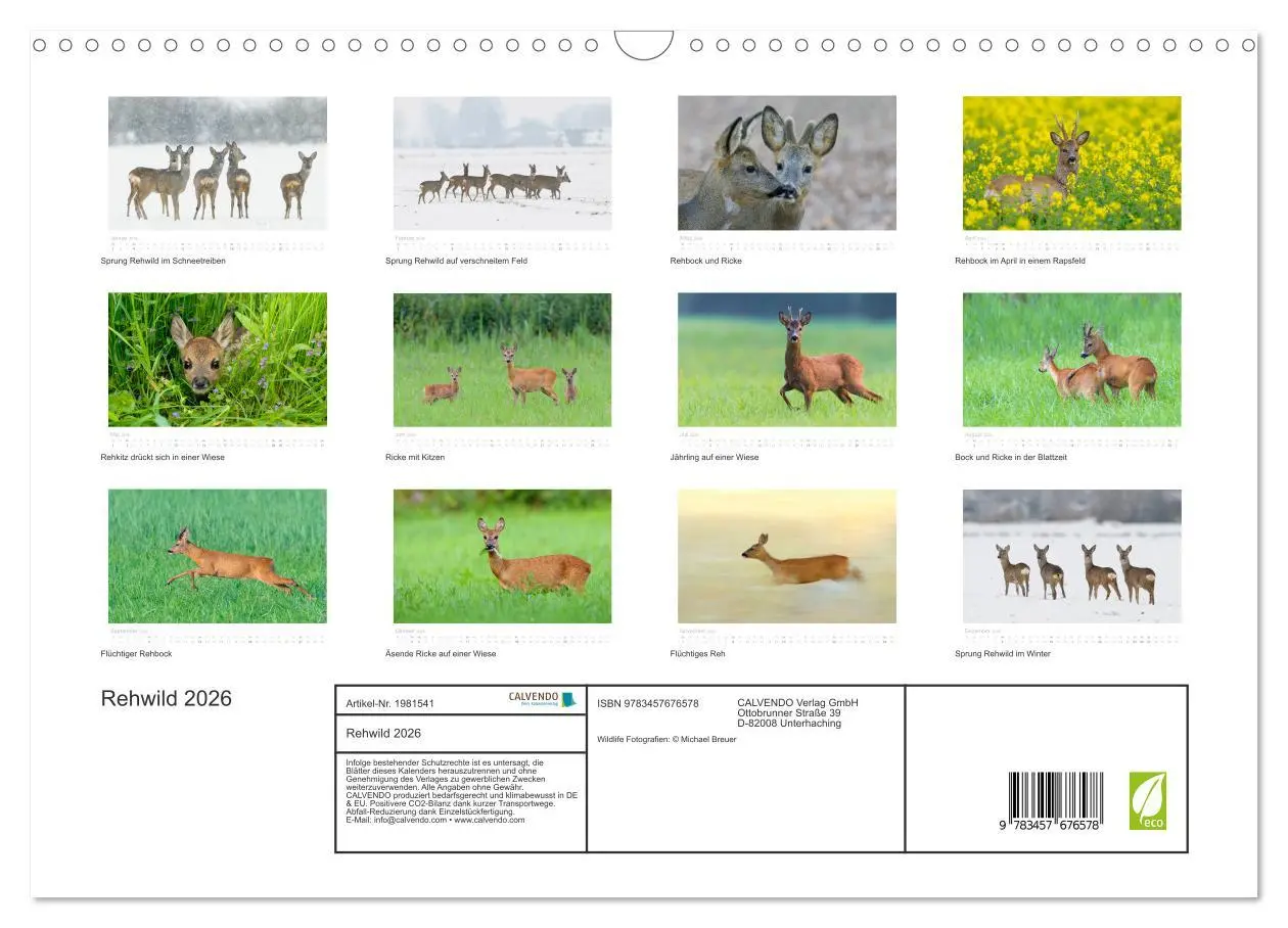 Bild: 9783457676578 | Rehwild 2026 (Wandkalender 2026 DIN A3 quer), CALVENDO Monatskalender