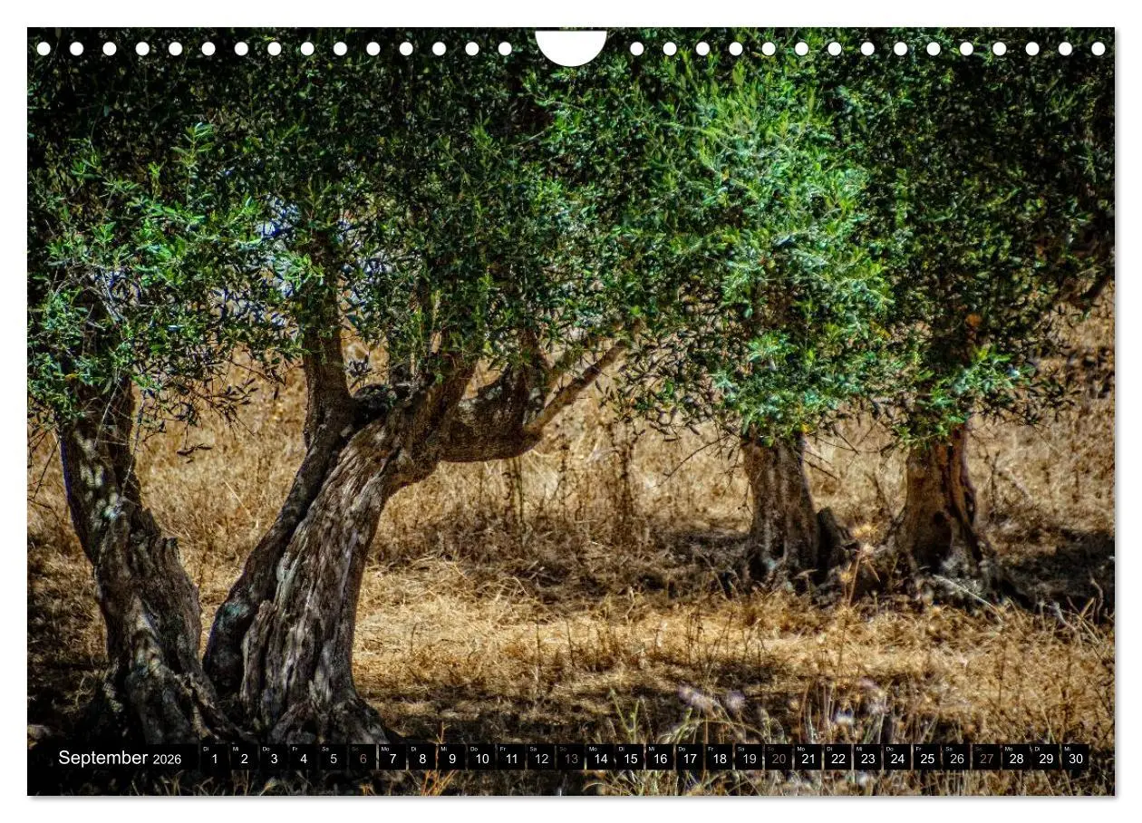 Bild: 9783516076578 | Mediterrane Ansichten 2026 (Wandkalender 2026 DIN A4 quer),...