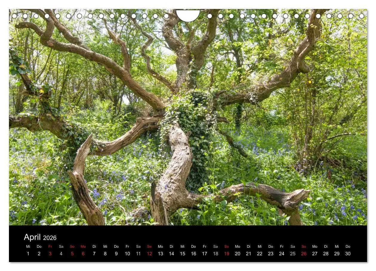 Bild: 9783516216578 | Unterwegs auf der Isle of Wight (Wandkalender 2026 DIN A4 quer),...