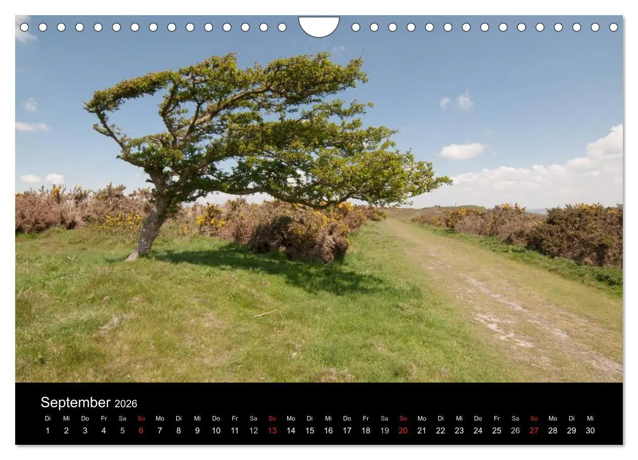 Bild: 9783516216578 | Unterwegs auf der Isle of Wight (Wandkalender 2026 DIN A4 quer),...