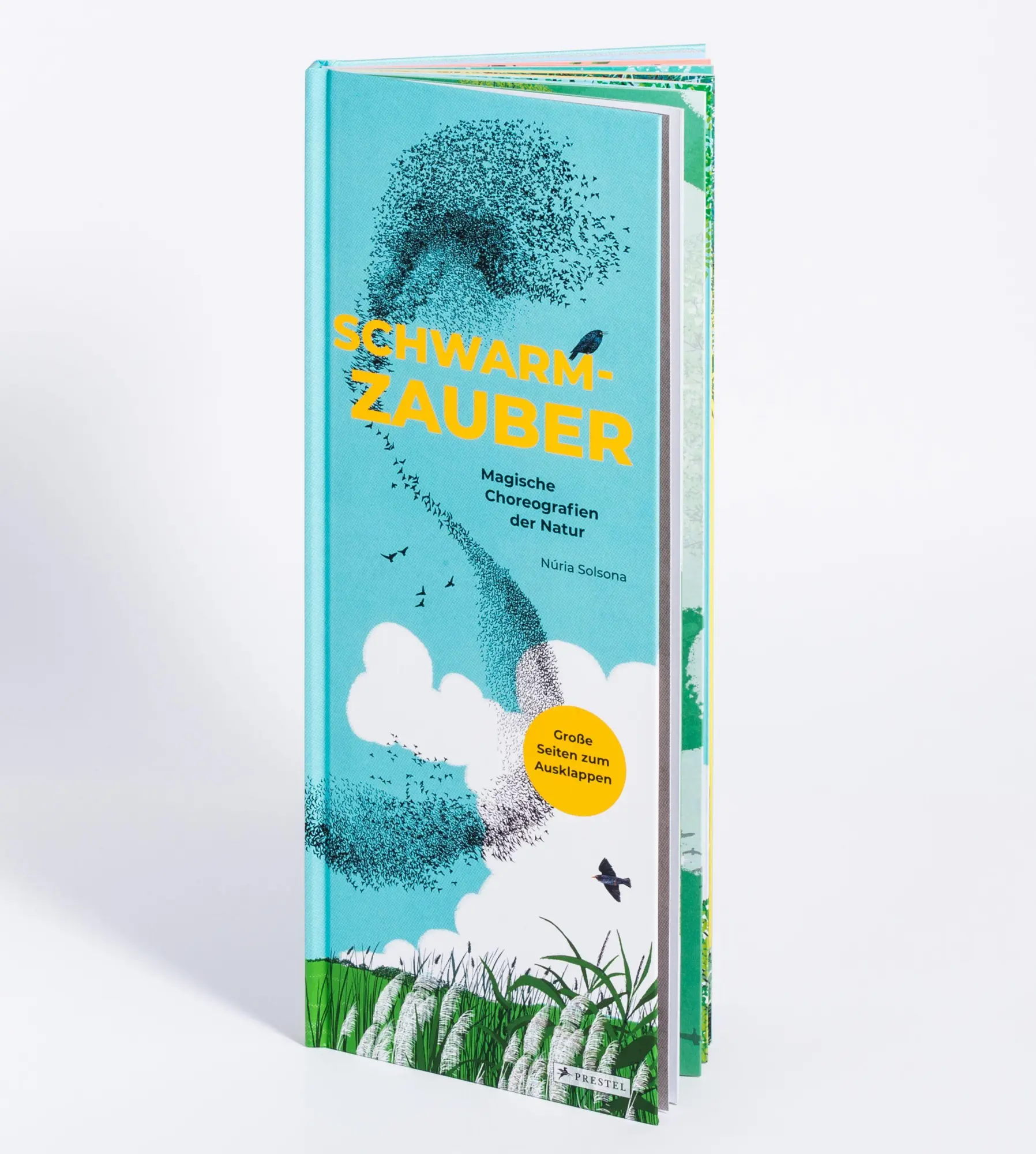 Cover: 9783791376578 | Schwarmzauber: Magische Choreografien der Natur | Núria Solsona | Buch