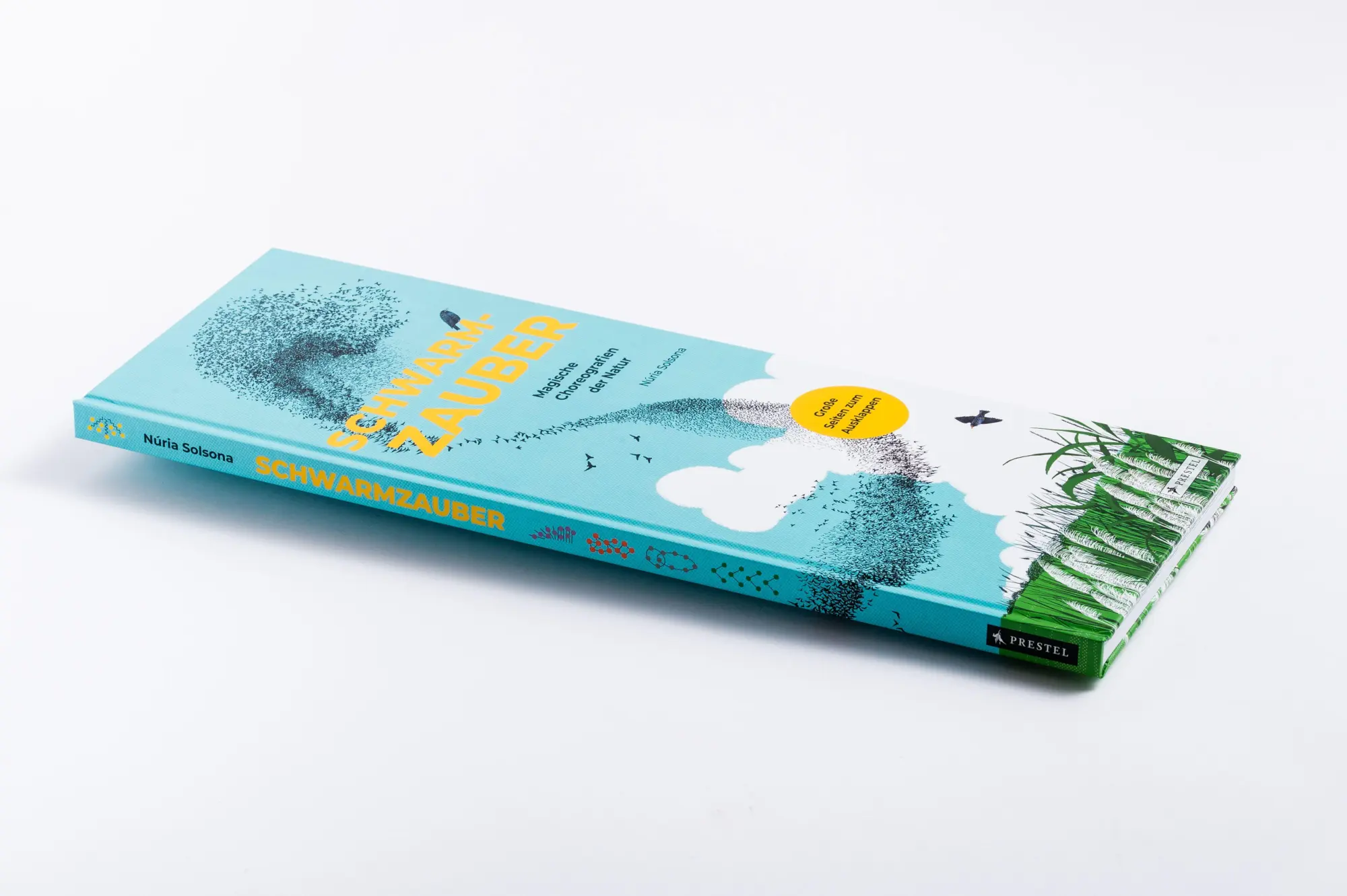 Bild: 9783791376578 | Schwarmzauber: Magische Choreografien der Natur | Núria Solsona | Buch