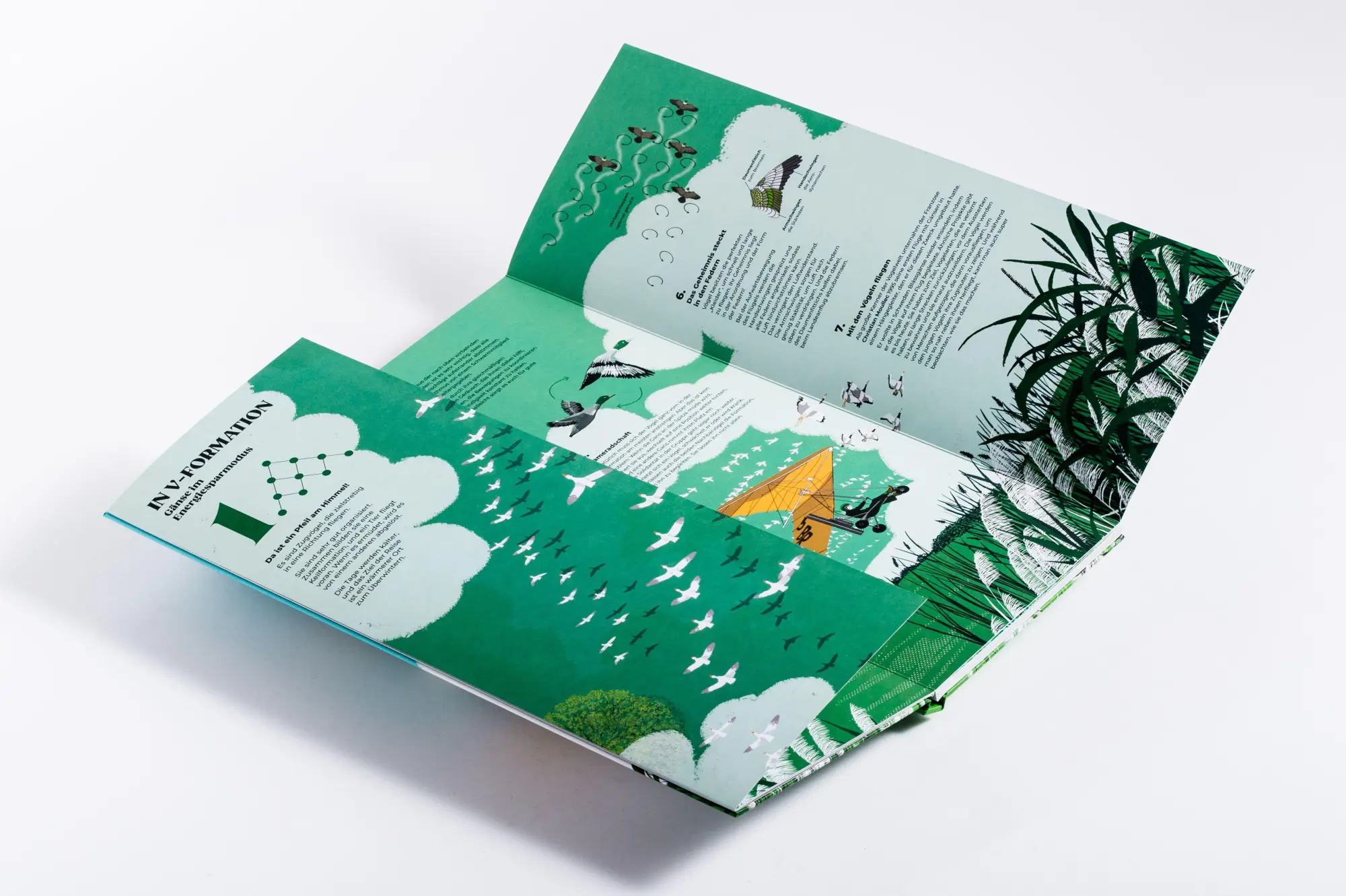 Bild: 9783791376578 | Schwarmzauber: Magische Choreografien der Natur | Núria Solsona | Buch