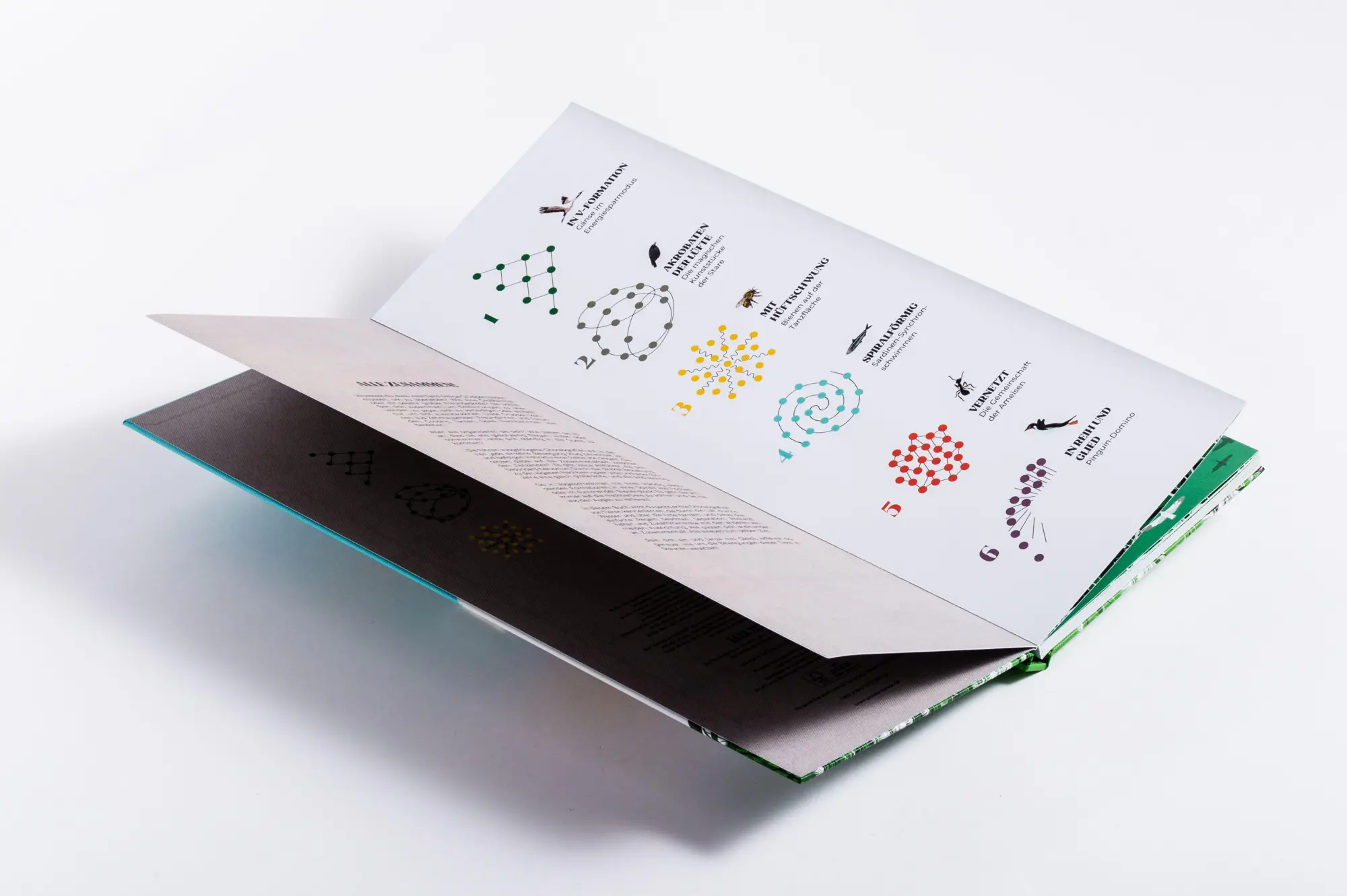 Bild: 9783791376578 | Schwarmzauber: Magische Choreografien der Natur | Núria Solsona | Buch