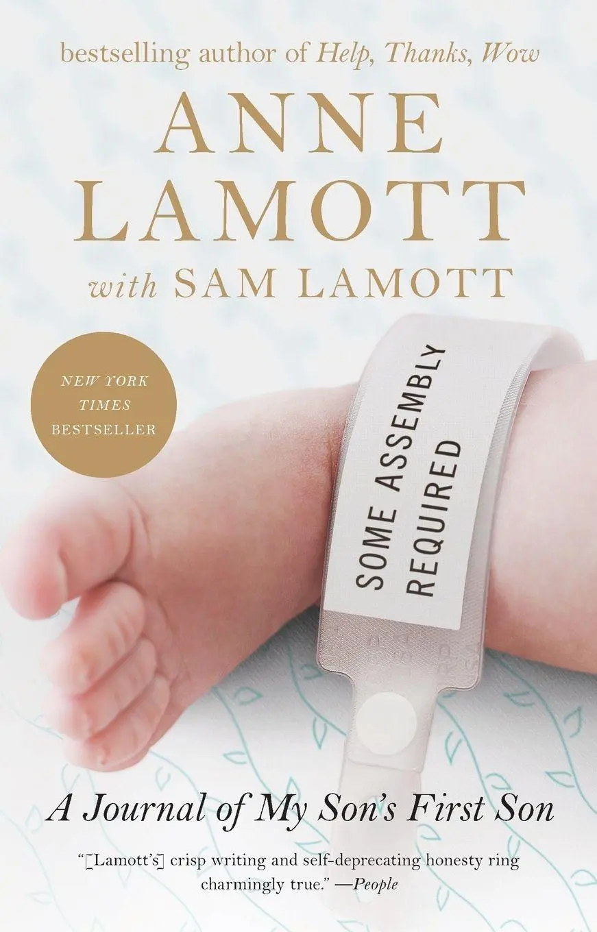 Cover: 9781594486678 | Some Assembly Required | A Journal of My Son's First Son | Taschenbuch