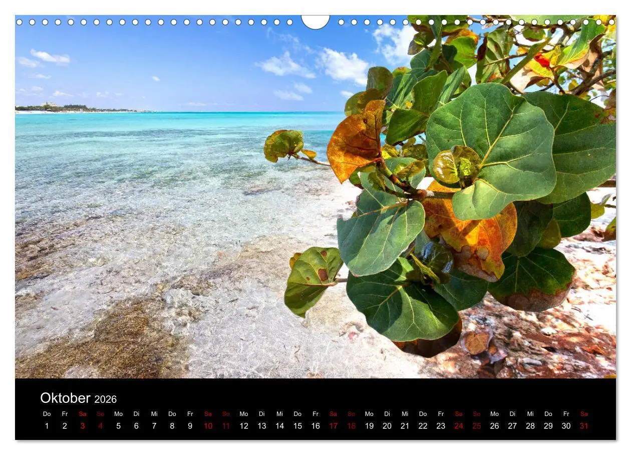 Bild: 9783457806678 | Kuba Varadero 2026 Leben im Paradies (Wandkalender 2026 DIN A3...