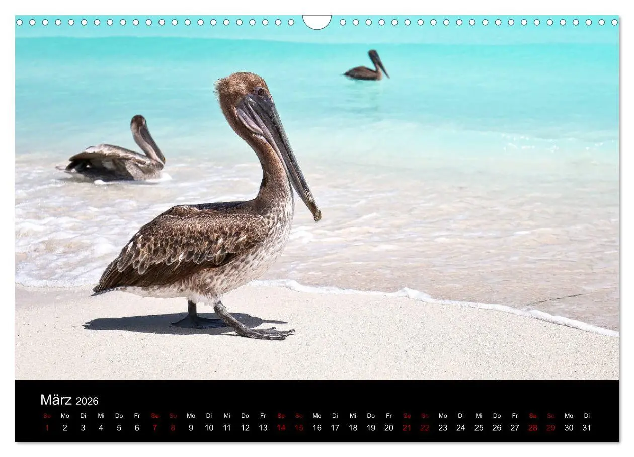 Bild: 9783457806678 | Kuba Varadero 2026 Leben im Paradies (Wandkalender 2026 DIN A3...