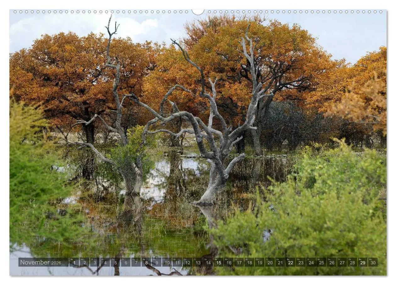 Bild: 9783516136678 | Namibia - Die Landschaft (Wandkalender 2026 DIN A2 quer), CALVENDO...