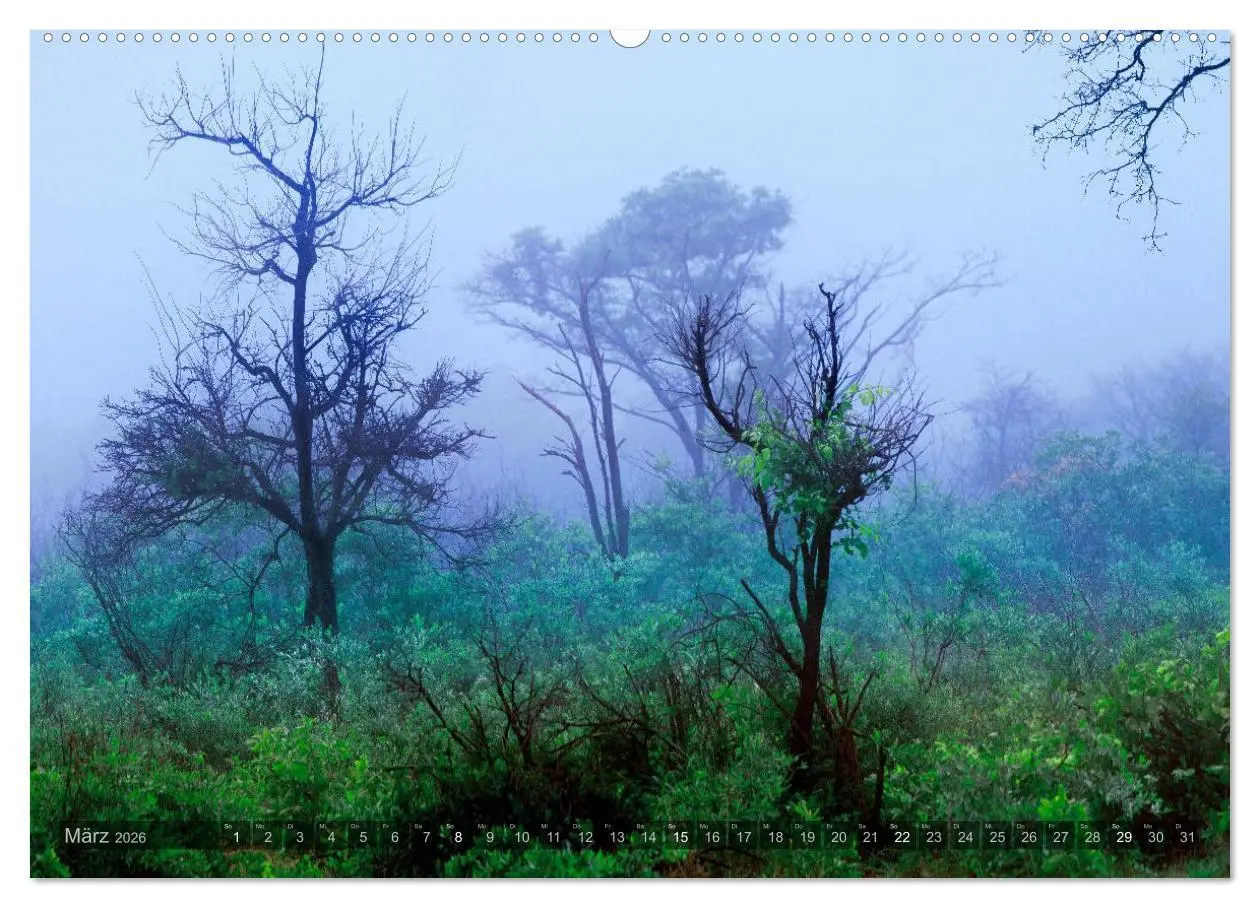 Bild: 9783516136678 | Namibia - Die Landschaft (Wandkalender 2026 DIN A2 quer), CALVENDO...