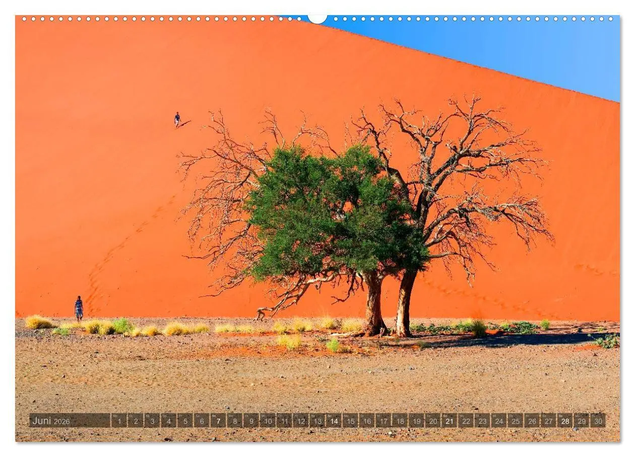 Bild: 9783516136678 | Namibia - Die Landschaft (Wandkalender 2026 DIN A2 quer), CALVENDO...