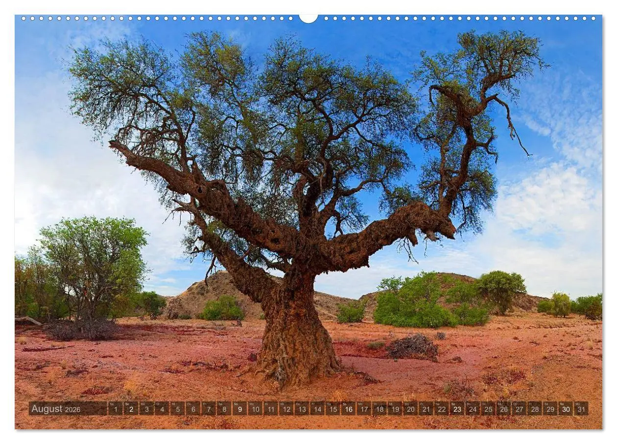 Bild: 9783516136678 | Namibia - Die Landschaft (Wandkalender 2026 DIN A2 quer), CALVENDO...