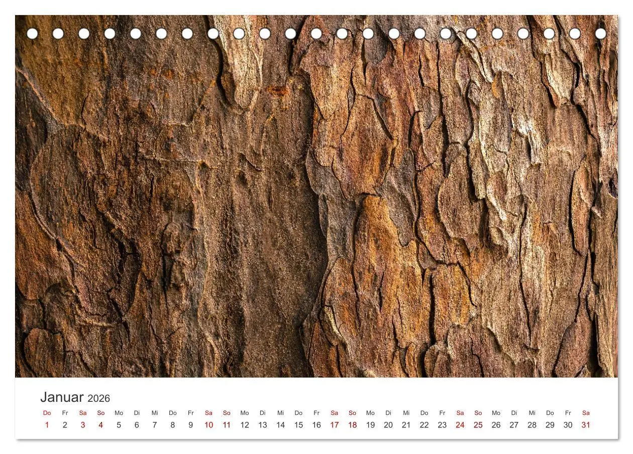 Bild: 9783457416778 | ZEN - Eine Reise zu sich selbst (Tischkalender 2026 DIN A5 quer),...