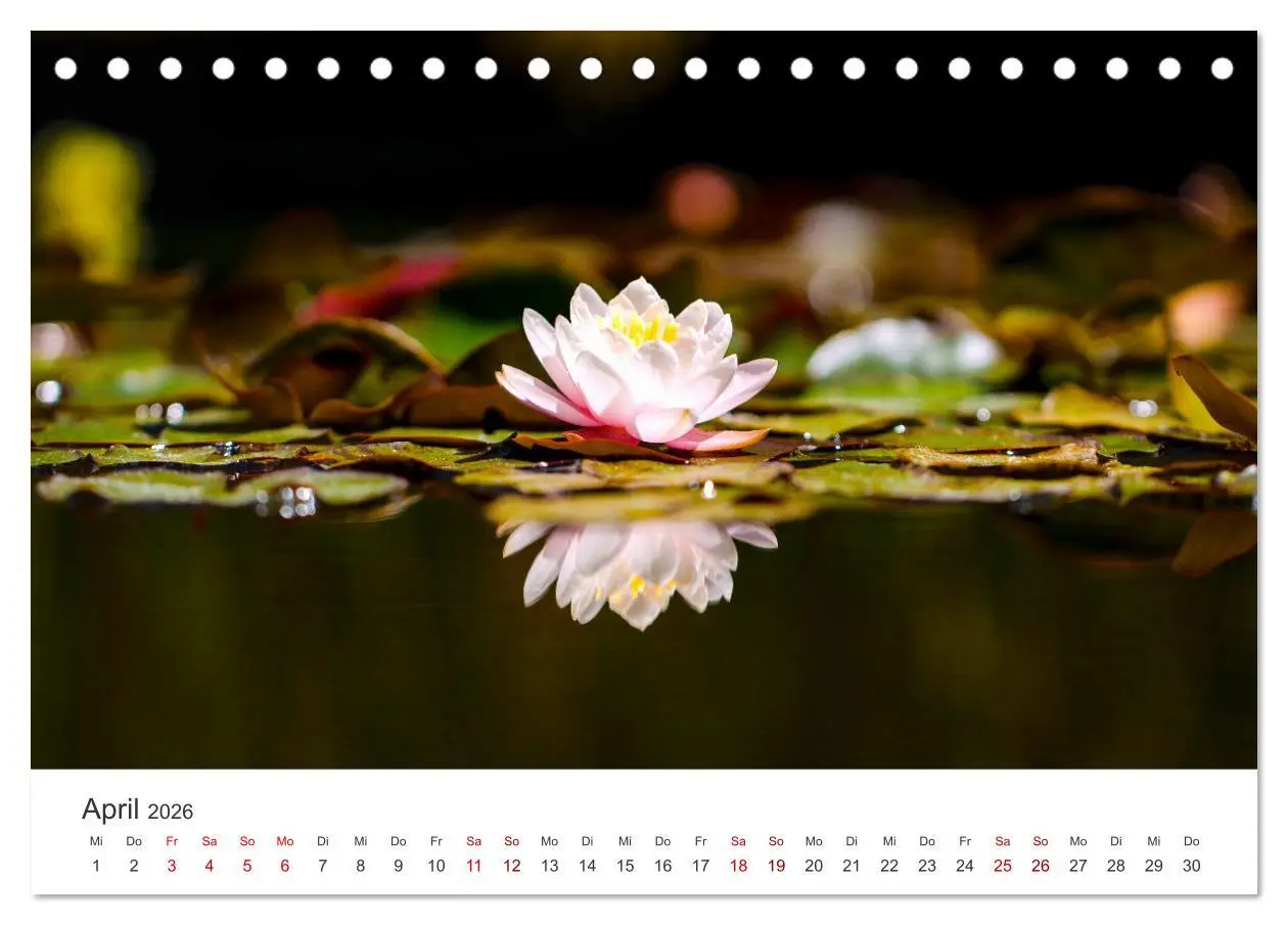 Bild: 9783457416778 | ZEN - Eine Reise zu sich selbst (Tischkalender 2026 DIN A5 quer),...