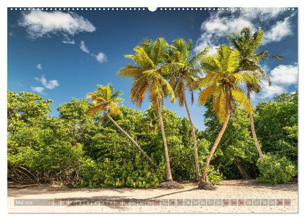 Bild: 9783457656778 | Karibik - Traumstrände (Wandkalender 2026 DIN A2 quer), CALVENDO...