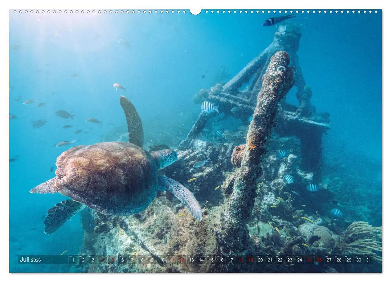 Bild: 9783457656778 | Karibik - Traumstrände (Wandkalender 2026 DIN A2 quer), CALVENDO...