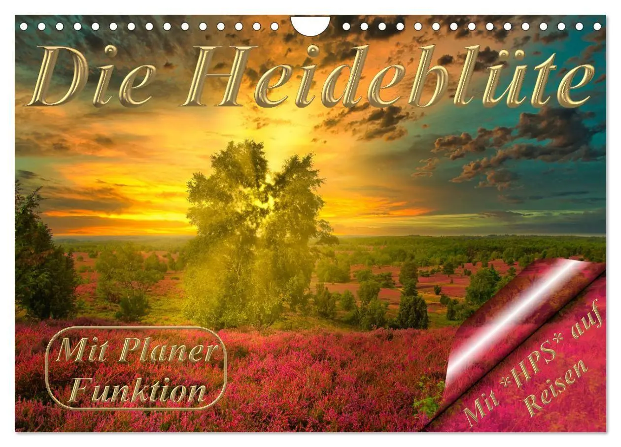 Cover: 9783569526778 | Die Heideblüte (Wandkalender 2027 DIN A4 quer), CALVENDO...