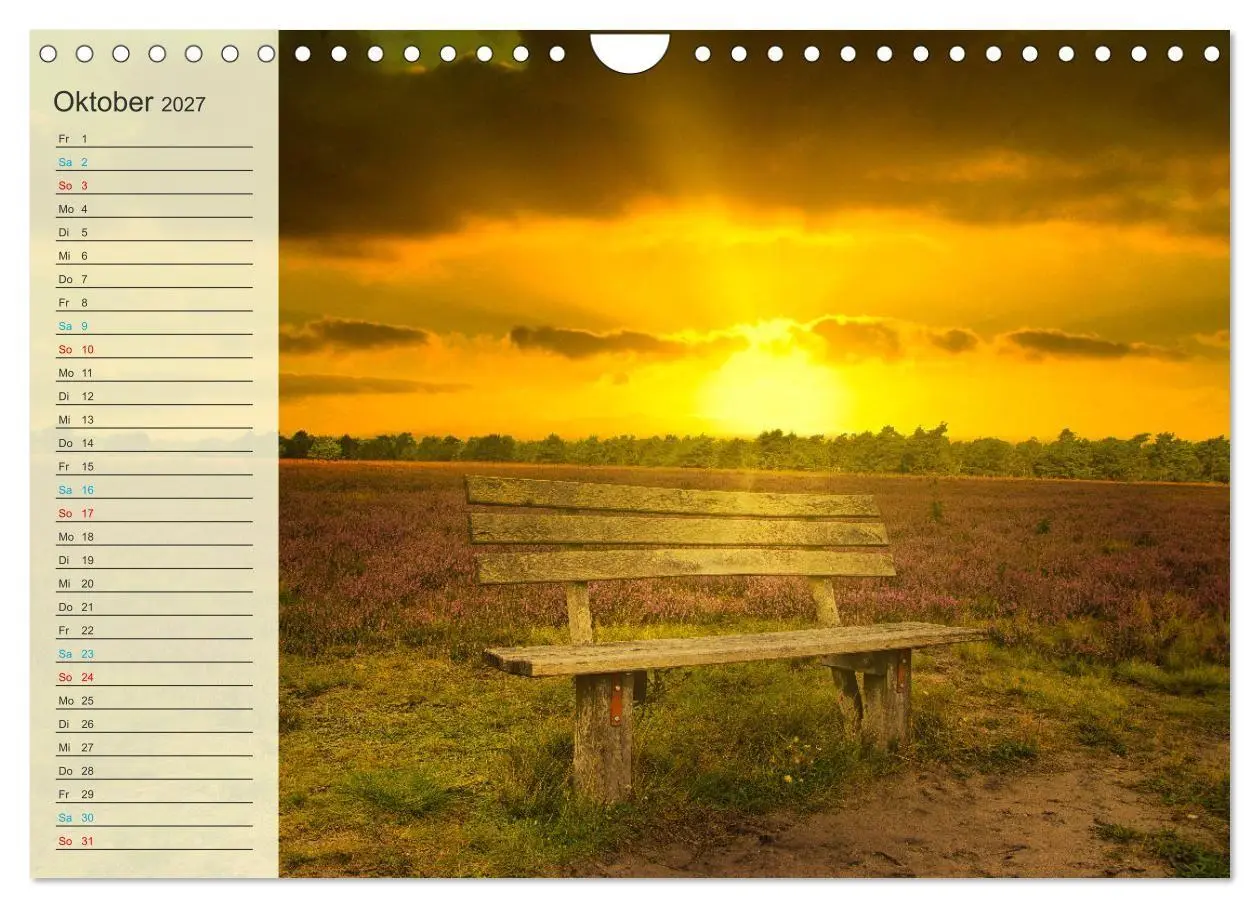 Bild: 9783569526778 | Die Heideblüte (Wandkalender 2027 DIN A4 quer), CALVENDO...