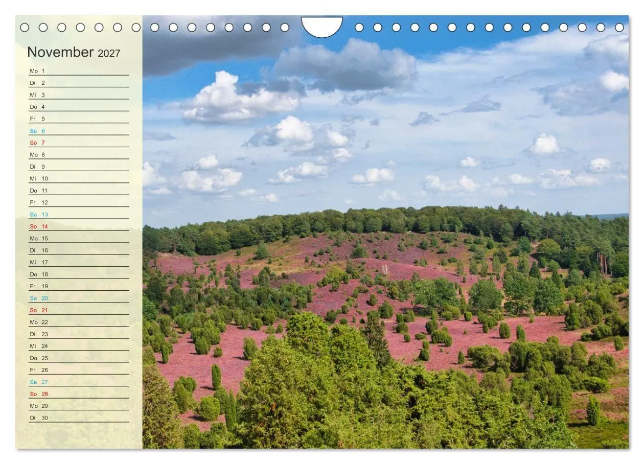 Bild: 9783569526778 | Die Heideblüte (Wandkalender 2027 DIN A4 quer), CALVENDO...