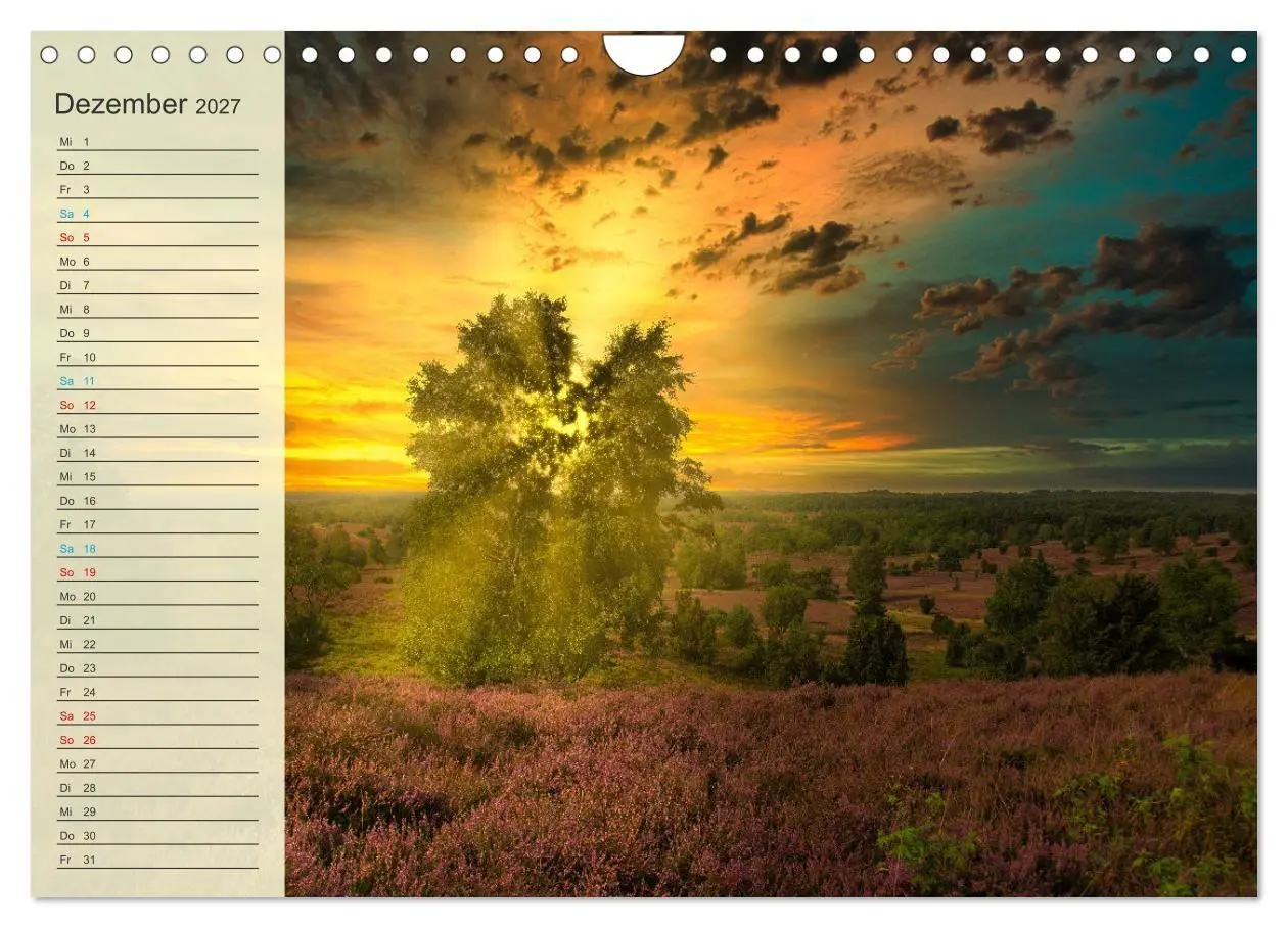 Bild: 9783569526778 | Die Heideblüte (Wandkalender 2027 DIN A4 quer), CALVENDO...