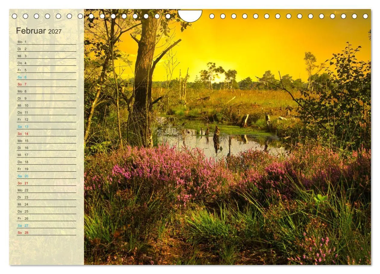 Bild: 9783569526778 | Die Heideblüte (Wandkalender 2027 DIN A4 quer), CALVENDO...