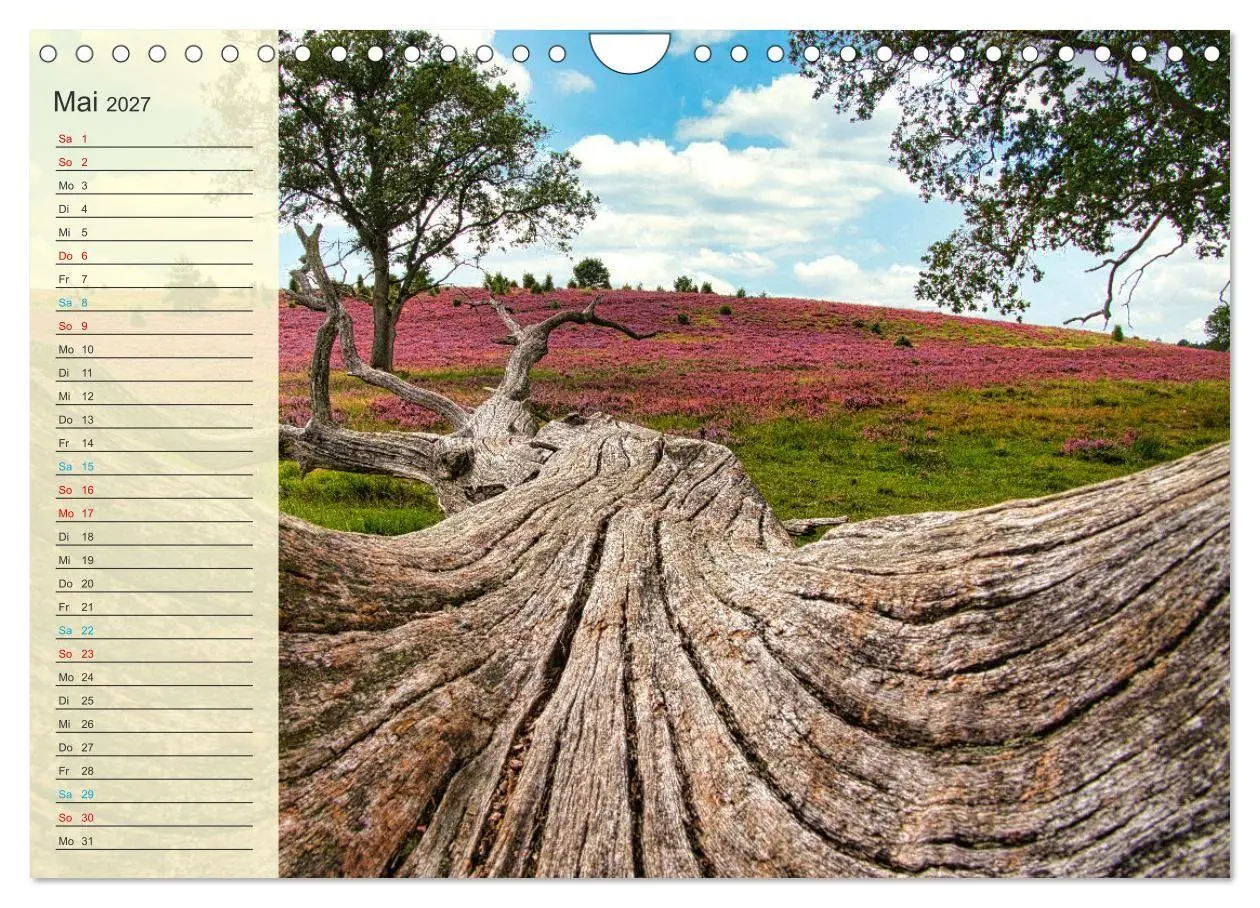 Bild: 9783569526778 | Die Heideblüte (Wandkalender 2027 DIN A4 quer), CALVENDO...