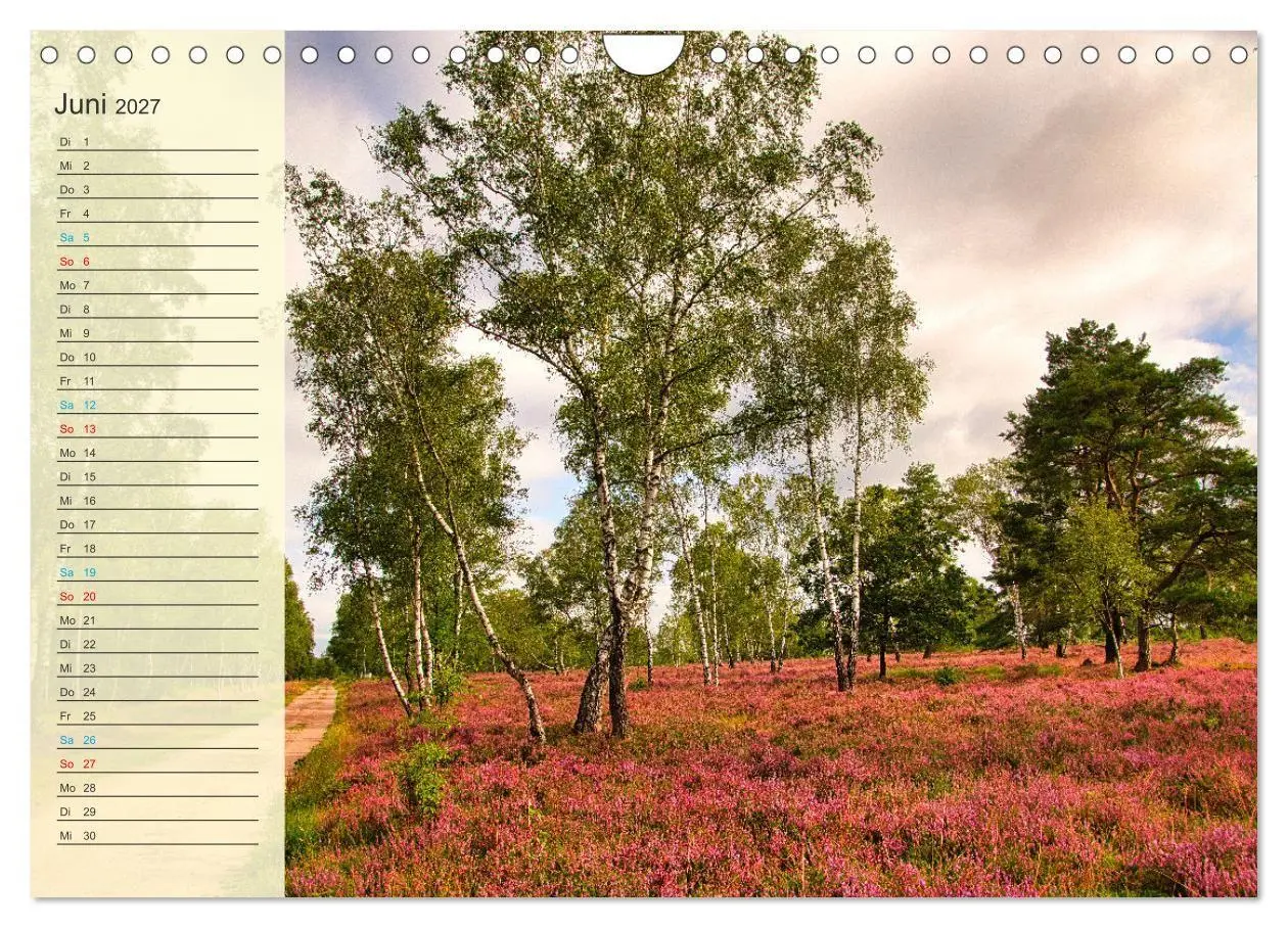 Bild: 9783569526778 | Die Heideblüte (Wandkalender 2027 DIN A4 quer), CALVENDO...