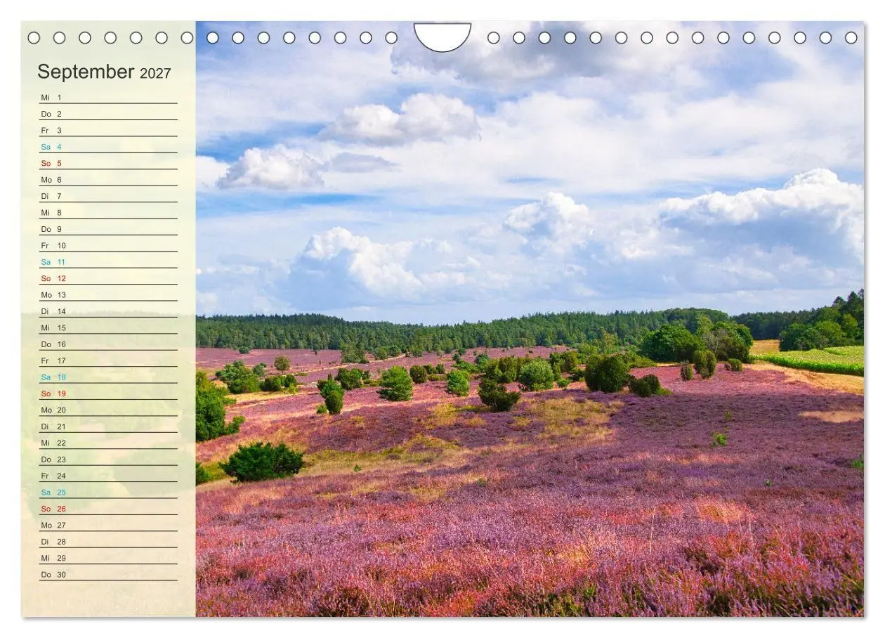 Bild: 9783569526778 | Die Heideblüte (Wandkalender 2027 DIN A4 quer), CALVENDO...