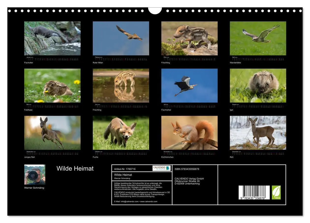 Bild: 9783435556878 | Wilde Heimat (Wandkalender 2025 DIN A3 quer), CALVENDO Monatskalender