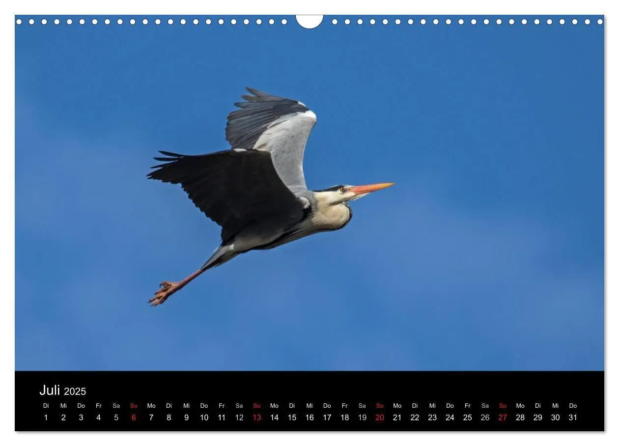Bild: 9783435556878 | Wilde Heimat (Wandkalender 2025 DIN A3 quer), CALVENDO Monatskalender