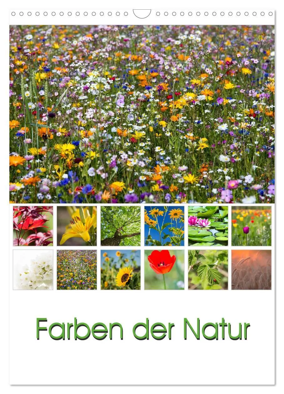 Cover: 9783516426878 | Farben der Natur (Wandkalender 2026 DIN A3 hoch), CALVENDO...