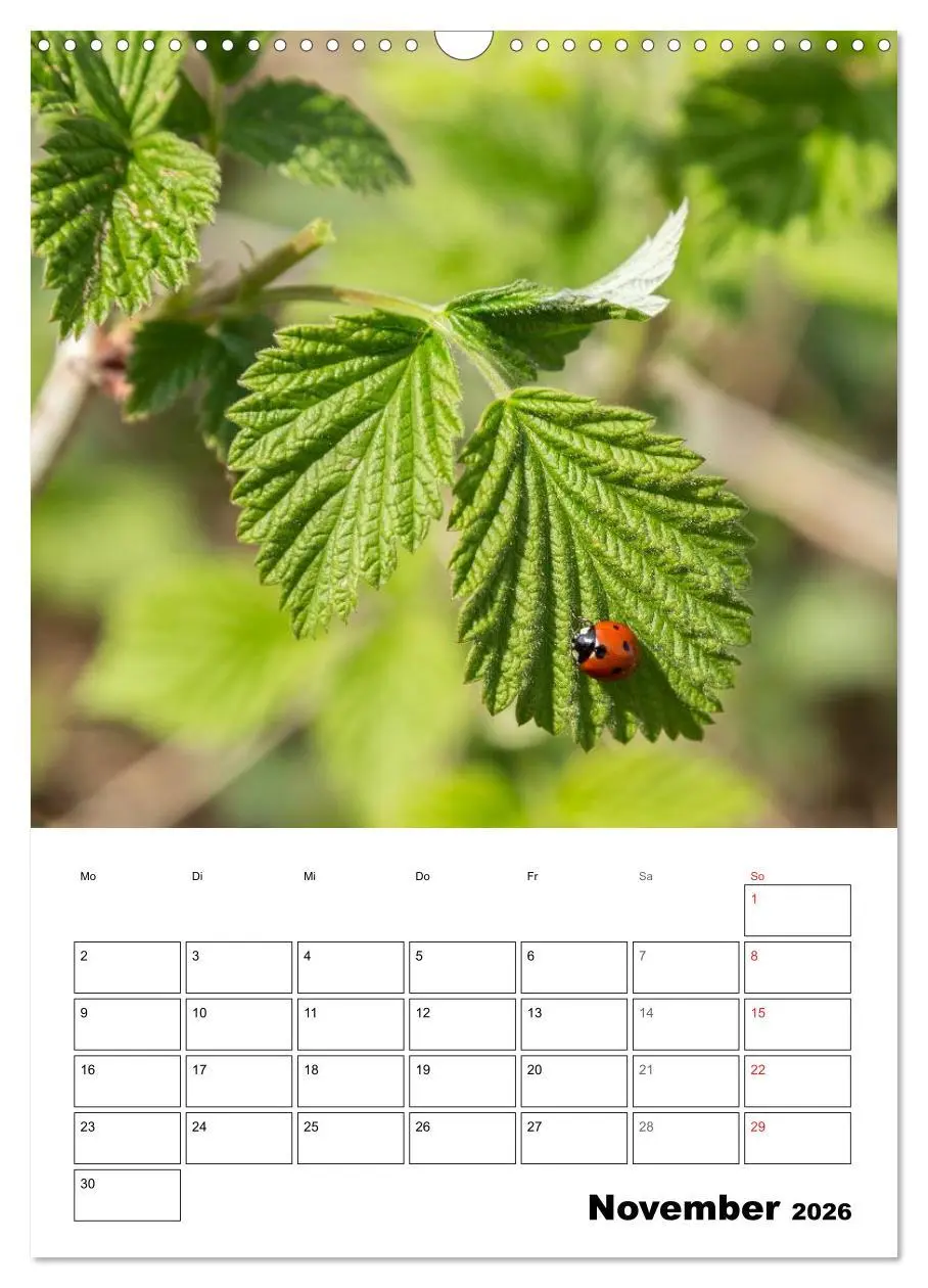 Bild: 9783516426878 | Farben der Natur (Wandkalender 2026 DIN A3 hoch), CALVENDO...