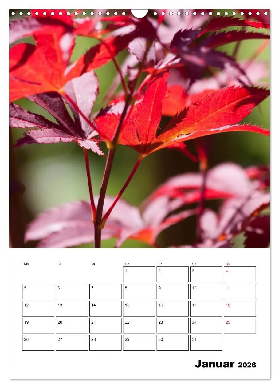 Bild: 9783516426878 | Farben der Natur (Wandkalender 2026 DIN A3 hoch), CALVENDO...