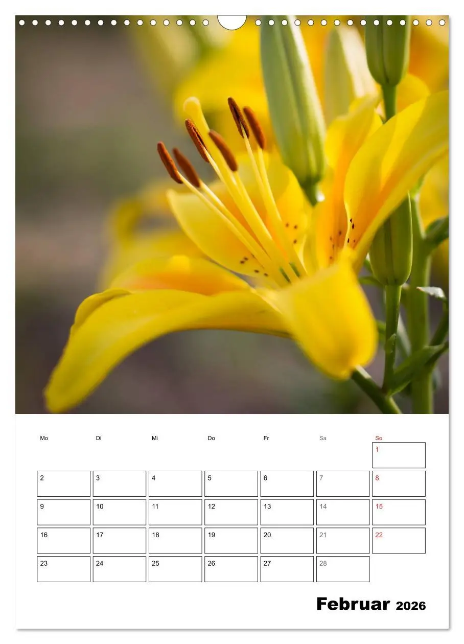 Bild: 9783516426878 | Farben der Natur (Wandkalender 2026 DIN A3 hoch), CALVENDO...