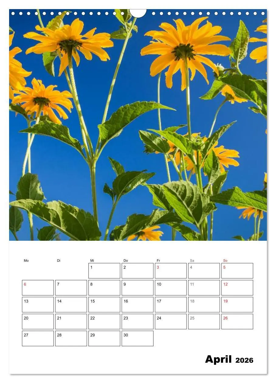 Bild: 9783516426878 | Farben der Natur (Wandkalender 2026 DIN A3 hoch), CALVENDO...